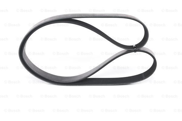 BOSCH Keilrippenriemen