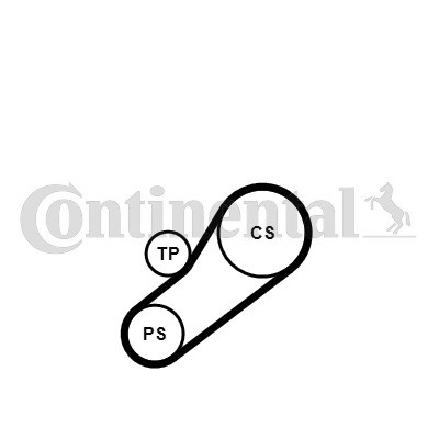 CONTINENTAL CTAM Keilrippenriemensatz