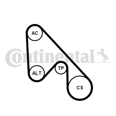 CONTINENTAL CTAM Keilrippenriemensatz
