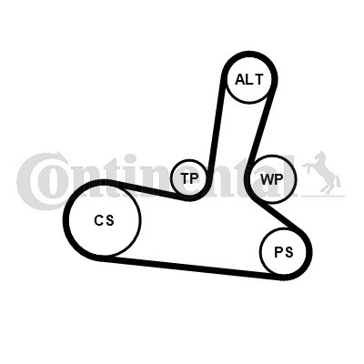 CONTINENTAL CTAM Keilrippenriemensatz