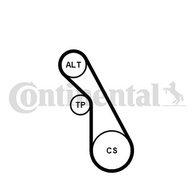 CONTINENTAL CTAM Keilrippenriemensatz