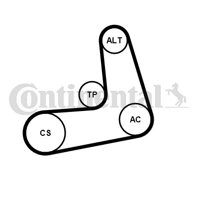 CONTINENTAL CTAM Keilrippenriemensatz