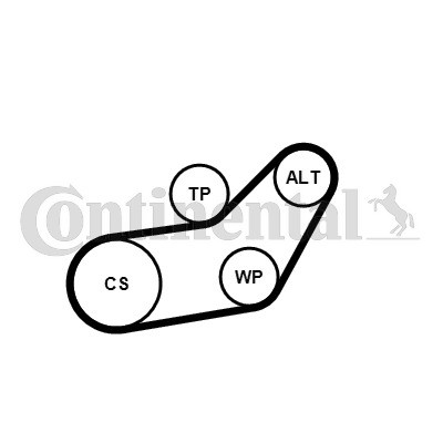 CONTINENTAL CTAM Keilrippenriemensatz