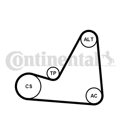 CONTINENTAL CTAM Keilrippenriemensatz