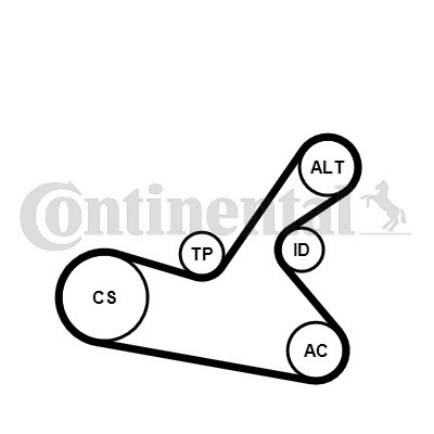 CONTINENTAL CTAM Keilrippenriemensatz