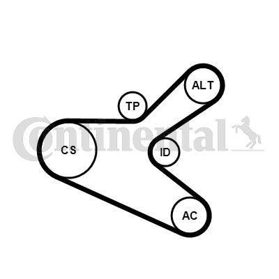 CONTINENTAL CTAM Keilrippenriemensatz