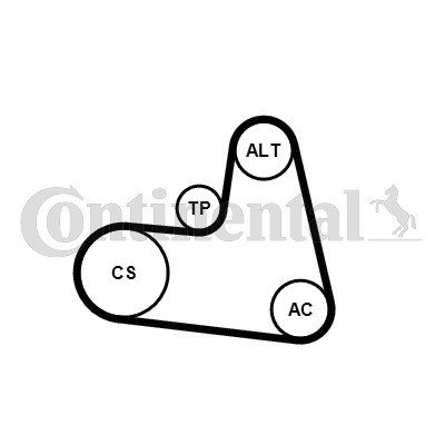 CONTINENTAL CTAM Keilrippenriemensatz