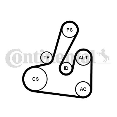 CONTINENTAL CTAM Keilrippenriemensatz