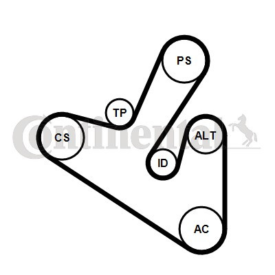 CONTINENTAL CTAM Keilrippenriemensatz