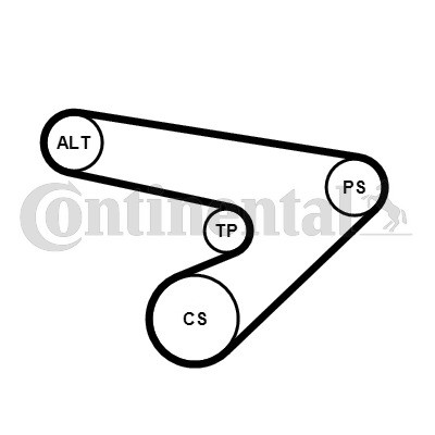 CONTINENTAL CTAM Keilrippenriemensatz