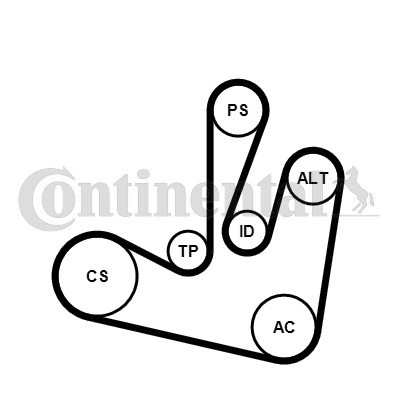 CONTINENTAL CTAM Keilrippenriemensatz