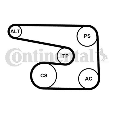 CONTINENTAL CTAM Keilrippenriemensatz