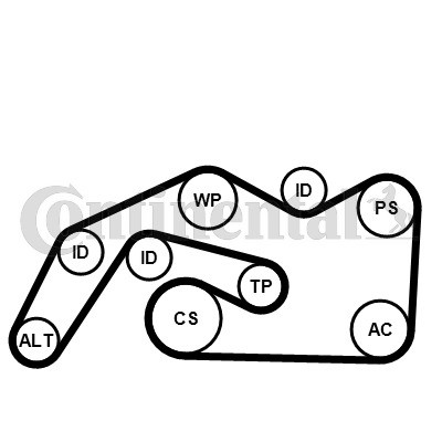 CONTINENTAL CTAM Keilrippenriemensatz