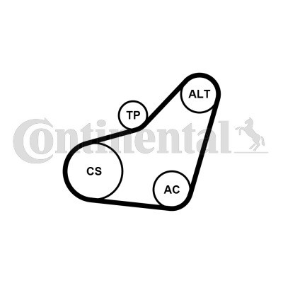 CONTINENTAL CTAM Keilrippenriemensatz