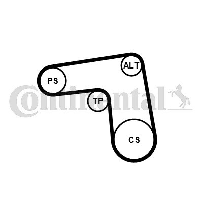 CONTINENTAL CTAM Keilrippenriemensatz
