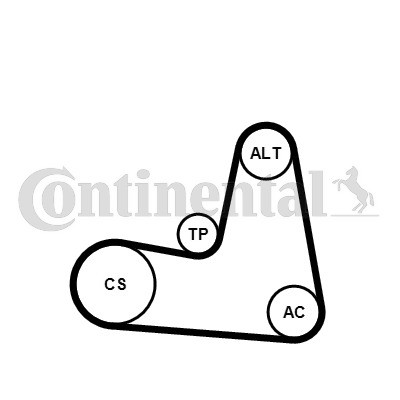 CONTINENTAL CTAM Keilrippenriemensatz