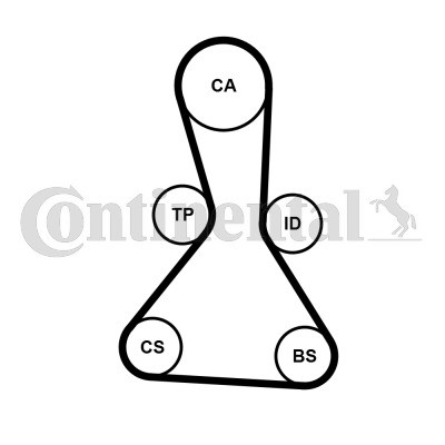 CONTINENTAL CTAM Zahnriemen