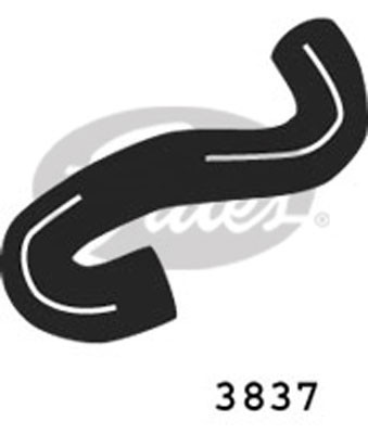 GATES Kühlerschlauch