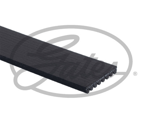 GATES Keilrippenriemen