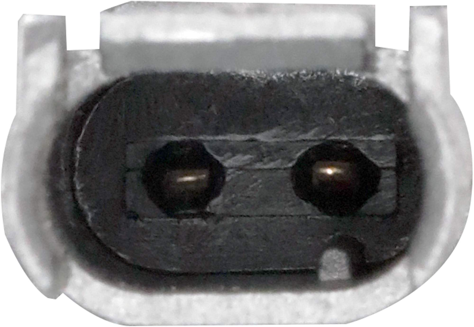 GATES Schlauch, Kurbelgehäuseentlüftung