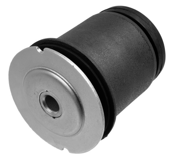 LEMFÖRDER Lagerung, Achskörper