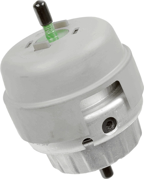 LEMFÖRDER Lagerung, Motor