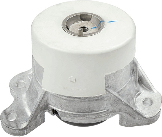 LEMFÖRDER Lagerung, Motor