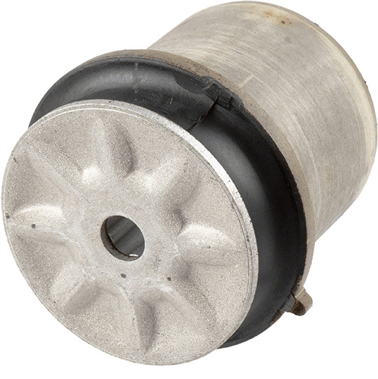 LEMFÖRDER Lagerung, Achskörper