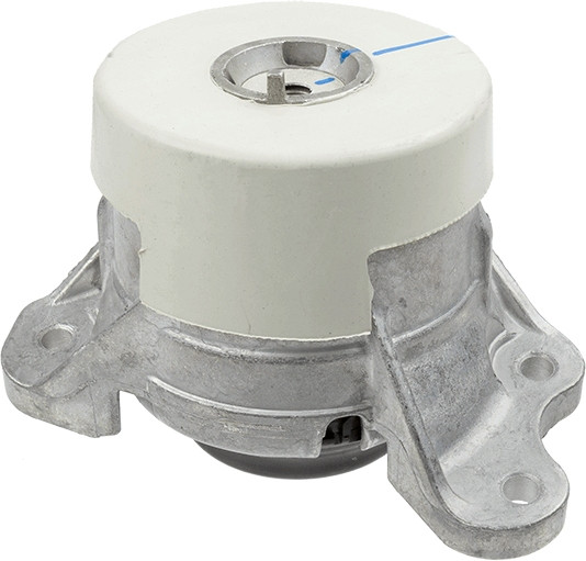 LEMFÖRDER Lagerung, Motor