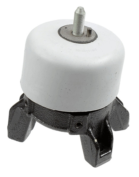 LEMFÖRDER Lagerung, Motor