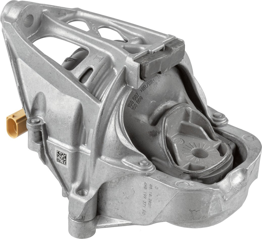 LEMFÖRDER Lagerung, Motor