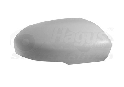 VAN WEZEL Abdeckung, Außenspiegel