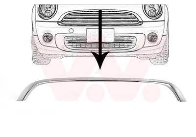 VAN WEZEL Zier-/Schutzleiste, Kühlergitter