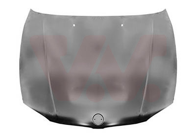 VAN WEZEL Motorhaube