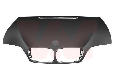 VAN WEZEL Motorhaube