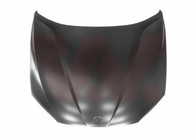 VAN WEZEL Motorhaube