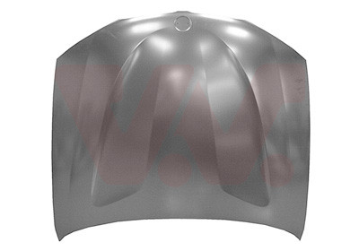 VAN WEZEL Motorhaube