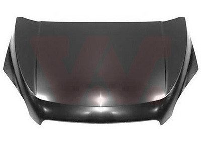 VAN WEZEL Motorhaube