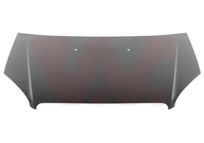 VAN WEZEL Motorhaube