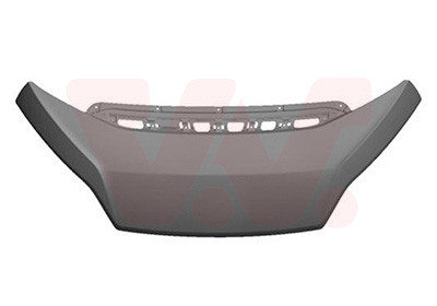 VAN WEZEL Motorhaube
