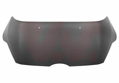 VAN WEZEL Motorhaube