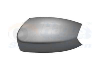 VAN WEZEL Abdeckung, Außenspiegel