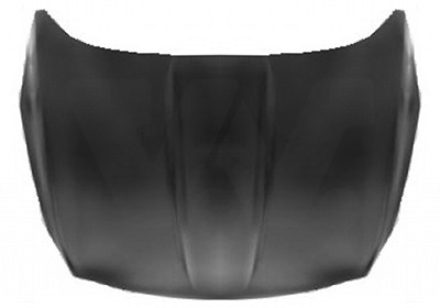 VAN WEZEL Motorhaube