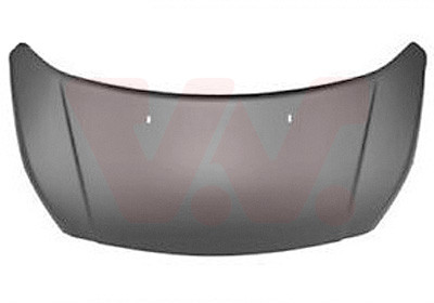 VAN WEZEL Motorhaube