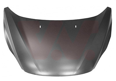 VAN WEZEL Motorhaube