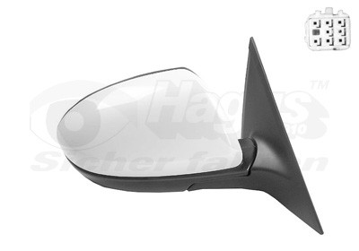 VAN WEZEL Außenspiegel