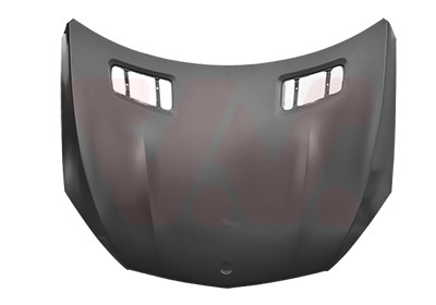 VAN WEZEL Motorhaube
