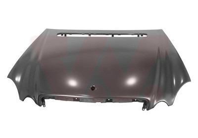 VAN WEZEL Motorhaube
