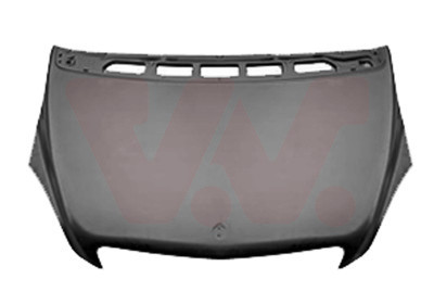 VAN WEZEL Motorhaube