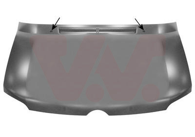 VAN WEZEL Motorhaube